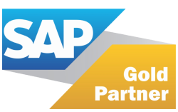 Nsight is an SAP Gold Partner