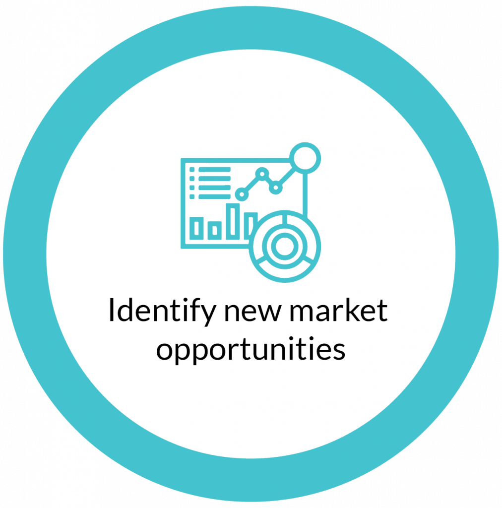 Identify new market opportunities